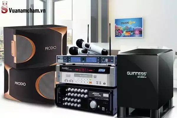 #Hướng dẫn chi tiết cách chỉnh amply hát Karaoke chuẩn 2020 7 Phụ kiện hỗ trợ hát karaoke tốt hơn