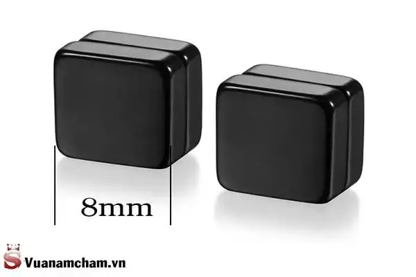 Khuyên tai nam châm - 3 mẫu khuyên tai chị em nào cũng thích 2 Khuyên tai nam châm có dạng hình vuông